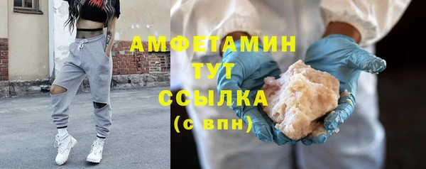 гидра Краснослободск