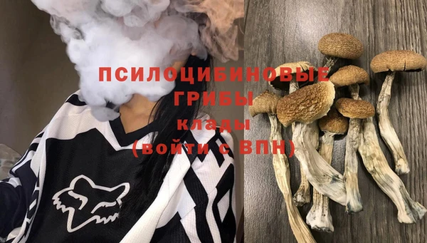 ешки Костерёво