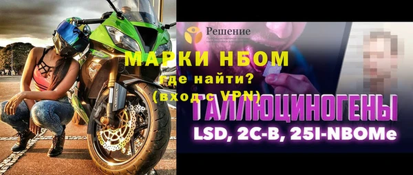 гидра Краснослободск