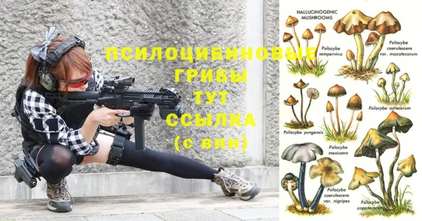 MDMA Premium VHQ Красноперекопск