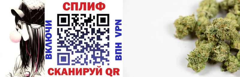 Канабис тримм  наркота  Кинешма 